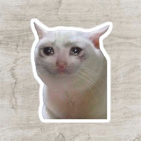 Sticker Memes Gatito Blanco Llorando Stickersbylali