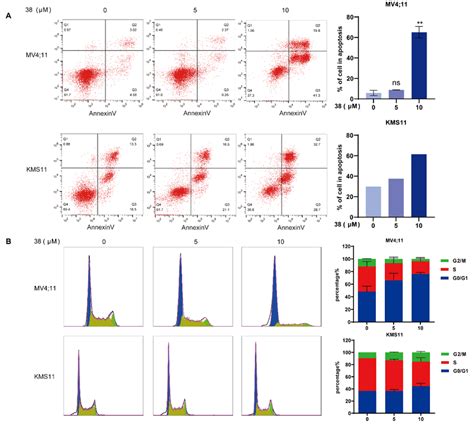 38 Induces Cell Apoptosis And Arrests The Cell Cycle At The G0 G1 Phase