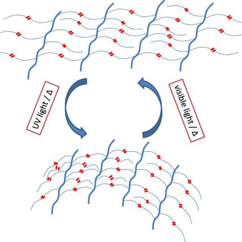 Schematic Representation Of Different Liquid Crystal Lc Phases A