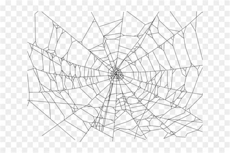 How To Draw A Realistic Spider