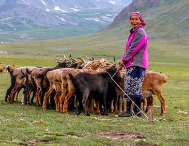 Mongolian Nomad Family | Mongolia Nomad Family Homestay