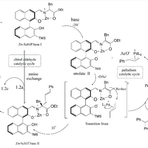 Combining Chiral Aldehyde Catalysis And Transition Metal Catalysis