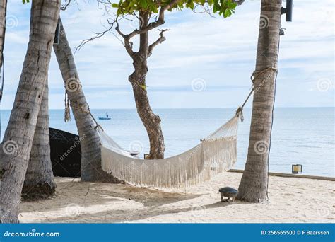 White Hammock Under Palm Trees At A Tropical Beach In Thailand Hua Hin