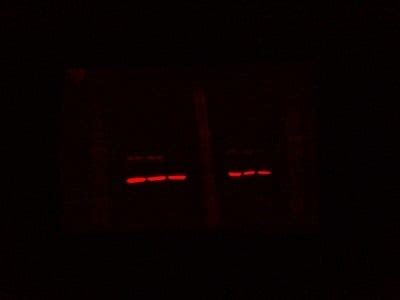 Great Secondary Antibody For LI COR Western Blot Scanner Biocompare