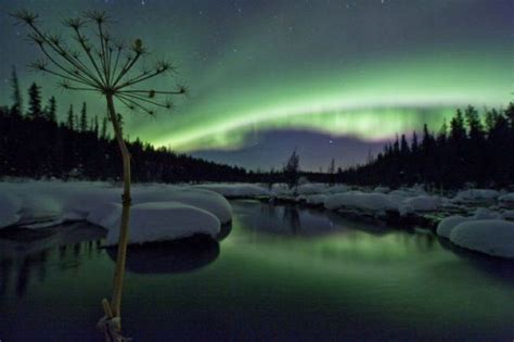 Aurora Borealis in Canada | Travel2Next