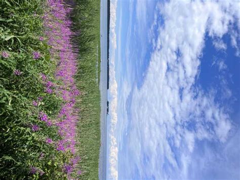 Parco Nazionale Di Lahemaa Escursione Di Un Giorno Getyourguide