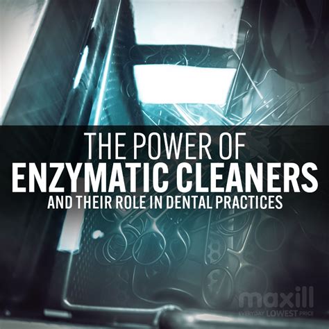 The Power Of Enzymatic Cleaners And Their Role In Dental Practices Maxill