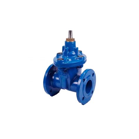 Задвижка Ziggiotto RF01-A (Италия) Ду 150 - купить задвижку Ду 150 Pу ...