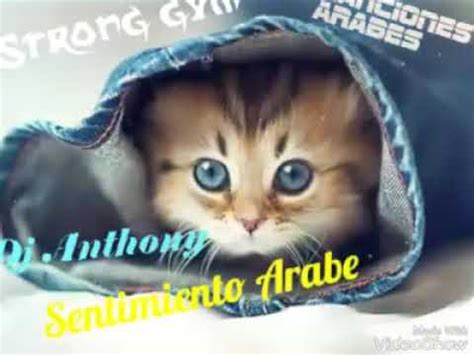 Strong Gym Arabe Sabes Tu Audio Oficcial Dj Anthony Piero Youtube