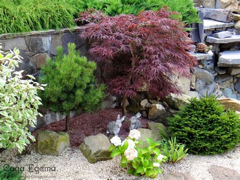 Сади Едема: Фотографії. Львівська область. | Garden layout, Garden ...