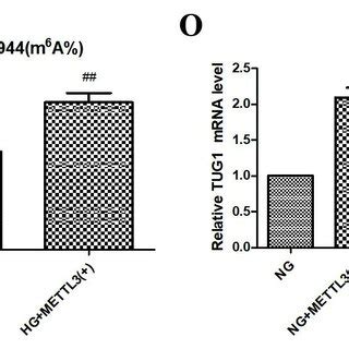 Fig Mettl Regulated Tug And Its M A Modification In High