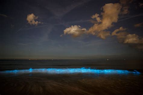 Bioluminiscencia En El Mar 5 Playas Que Brillan De Noche