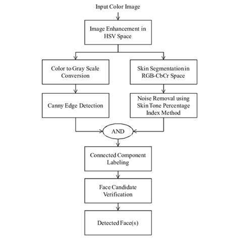 Flow Chart For Fake News Detection