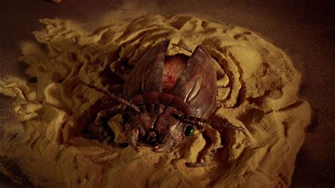 Naked Lunch Review Criterion Forum