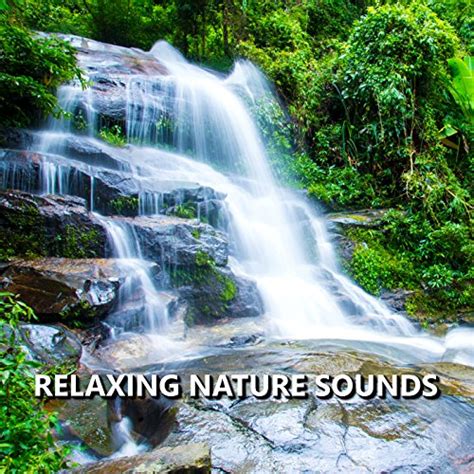 Play Relaxing Nature Sounds by Sounds of Nature on Amazon Music