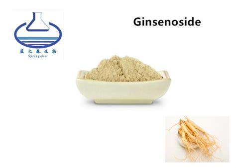 Supply Bulk High Quality Panax Ginseng Extract Ginsenoside Powder