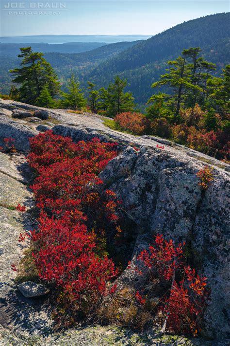 Razorback Trail Up Mansell Mountain Photos Joes Guide To Acadia