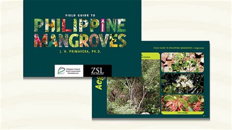 Field Guide to Philippine Mangroves