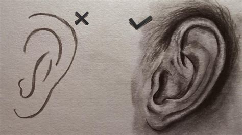 How To Draw Ear Easy Step By Step Ear Drawing For Beginners Basic