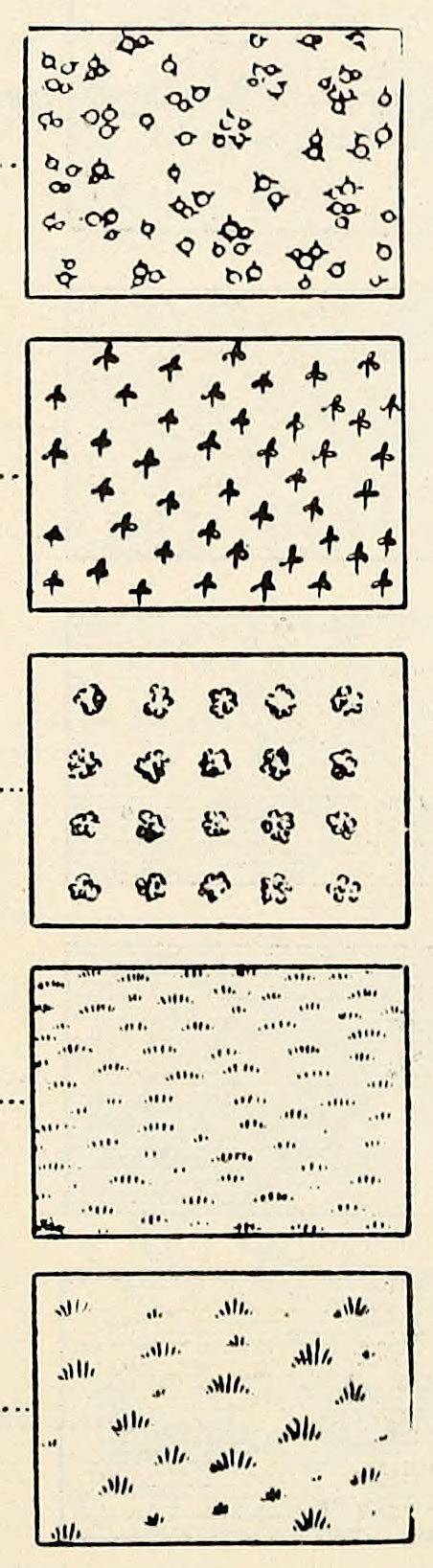 Nemfrog “conventional Signs ” From To Bottom Cactus