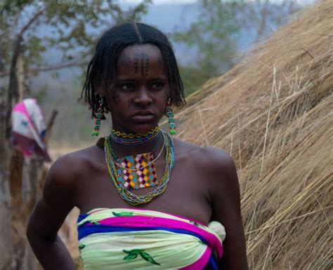 Wodaabe Fotos Banco De Imagens E Fotos De Stock Istock