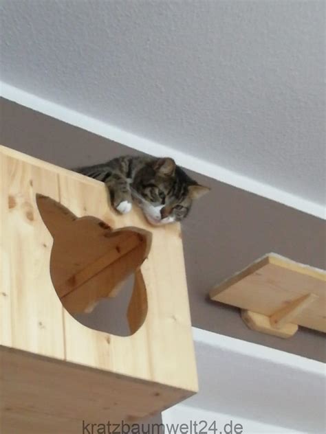 Schlafpl Tze F R Katzen Kletterwand H Hle F R Katzen Catwalk F R Katzen