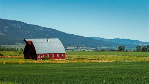 Five Ways To Increase Farm Profitability AgAmerica