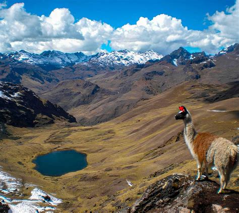 Lares Trek To Inca Trail