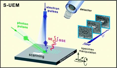 D Scanning Ultrafast Electron Microscopy Visualization Of Materials