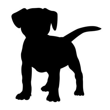 Puppy Silhouette