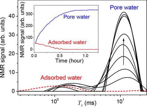 Dynamic Nmr Relaxometry As A Simple Tool For Measuring Liquid Transfers