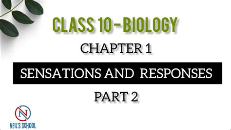 Sensations And Responses Part 2 10th Biology Chapter 1 Youtube