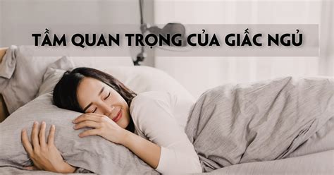 Tầm Quan Trọng Của Giấc Ngủ đối Với Sức Khỏe Cenly ViỆt Nam