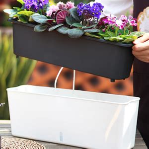 Amazon Oliz Window Box Planters Pack Of 2 Self Watering Plastic