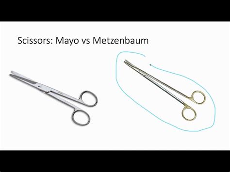 Metzenbaum Vs Mayo Scissors Buy Now | www.gbu-presnenskij.ru