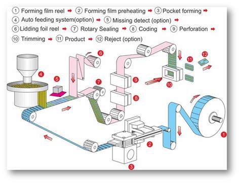 Understanding The Working Of Blister Packing Machine Sonus