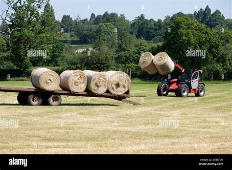 Manitou Tractor Loading Hay Bales Onto A Trailer Warwickshire England