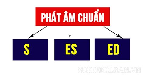 Hướng Dẫn Cách Phát âm S Es Ed Bằng Câu Thần Chú Chính Xác Và Tự Tin