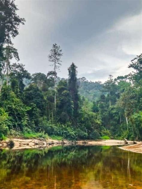 taman negara malaysia     story spark nomad