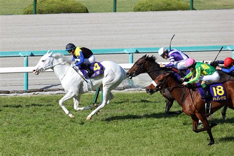 第82回 優駿牝馬（オークス） 有力馬情報｜gⅠ特集｜競馬予想・競馬情報ならjra Van