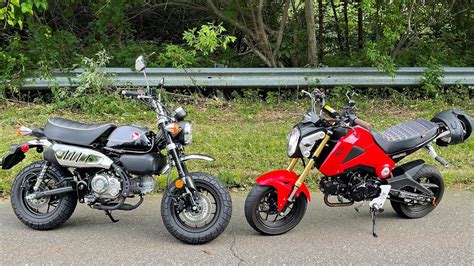 Honda Grom Vs Honda Monkey Youtube