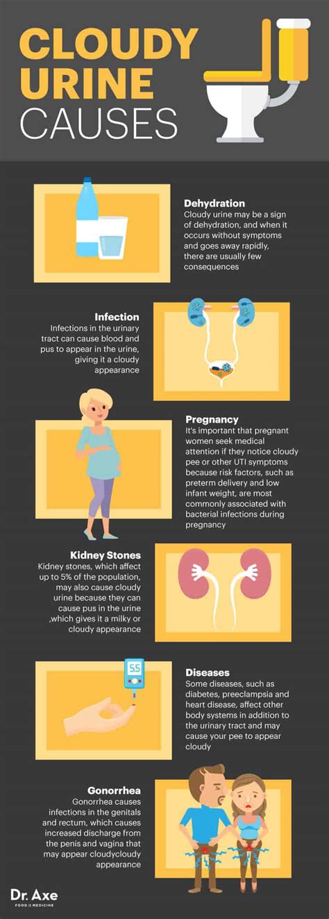 Cloudy Urine Causes and 11 Natural Treatments - Dr. Axe