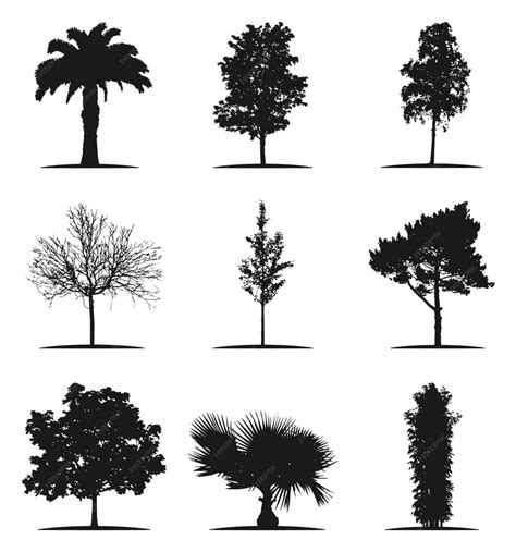 Premium Vector Tree Silhouette Vector Tree Illustration