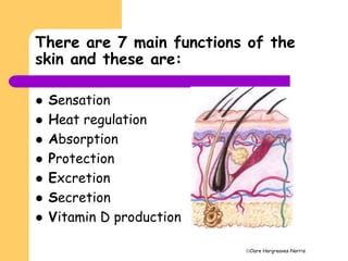 Facial skin functions | PPT