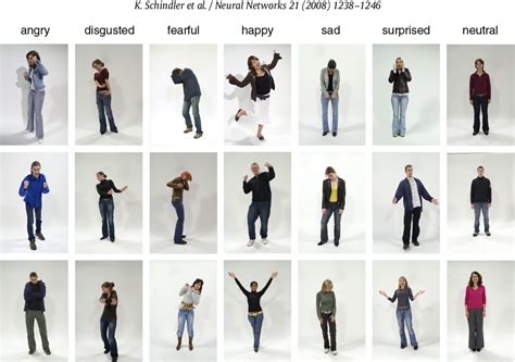 Figure 1 from Recognizing emotions expressed by body pose: A ...