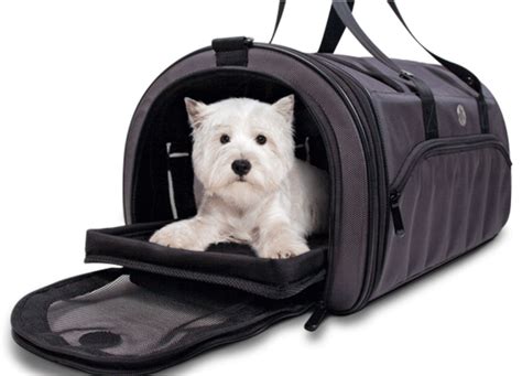 Top 4 Mejores Transportines Plegables Para Perros Redcaninaes