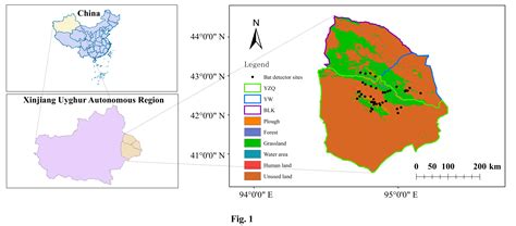 Local Bats Diversity Exceeded The Regional Bats Diversity In Xinjiang