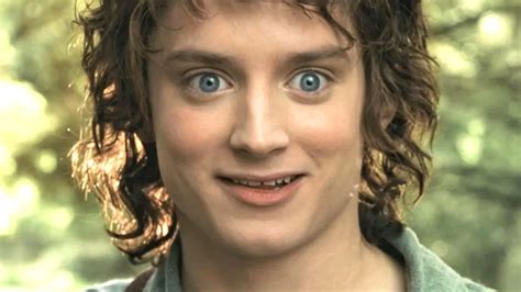 Elijah Wood Reveals His Favorite Lord Of The Rings Meme The Mary Sue