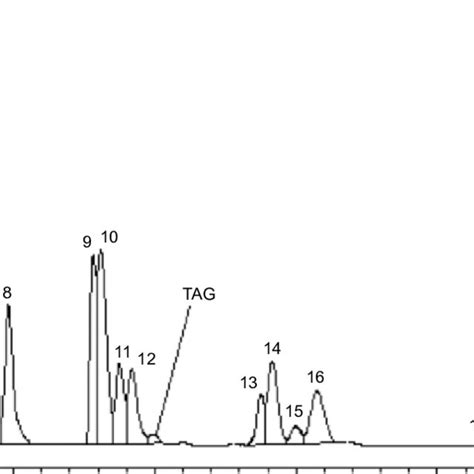 Reverse Phase High Performance Liquid Chromatography Rp Hplc Download Scientific Diagram