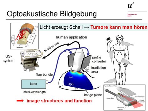 Biomedizinische Optik Ppt Herunterladen